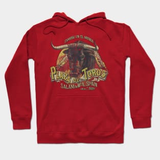 Plaza de Toros Hoodie